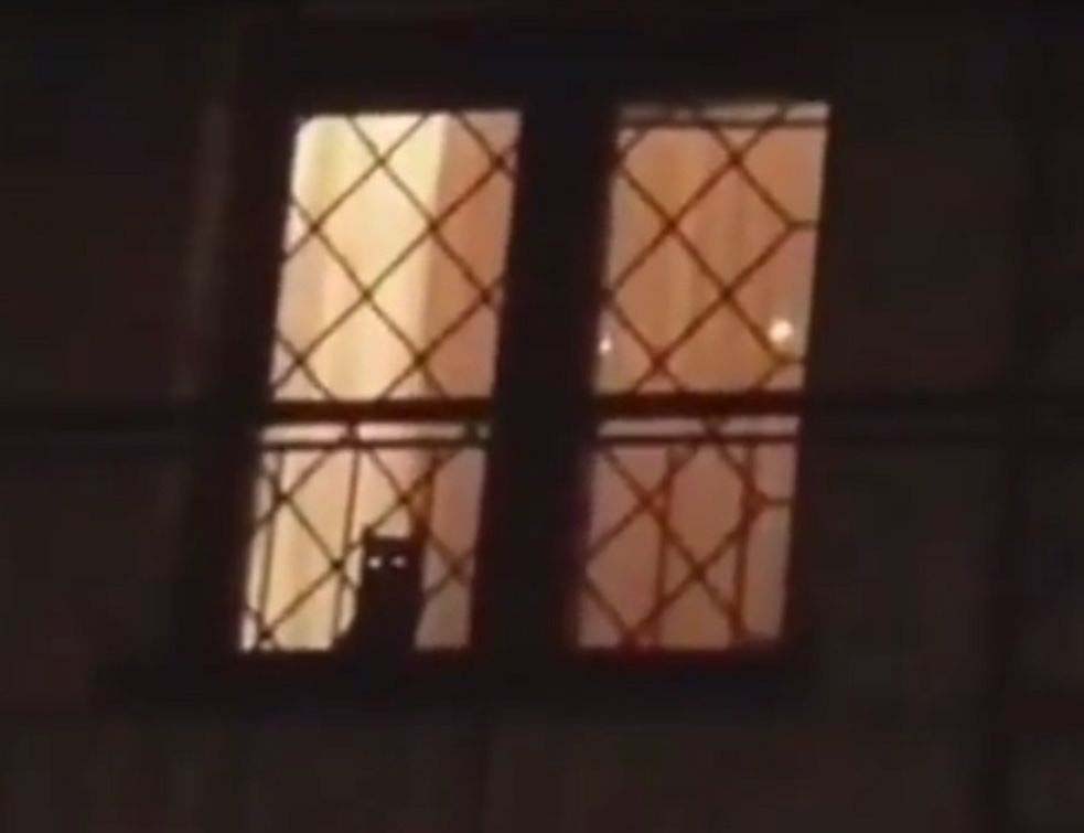 КАЧИЊСКИ: Јак сам ја ДИКТАТОР кад шаљем мсвог МАЧКА на демонстранте (ВИДЕО)
